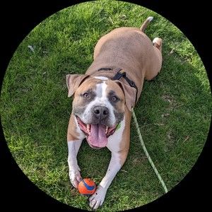 Meet your Posher, Weird